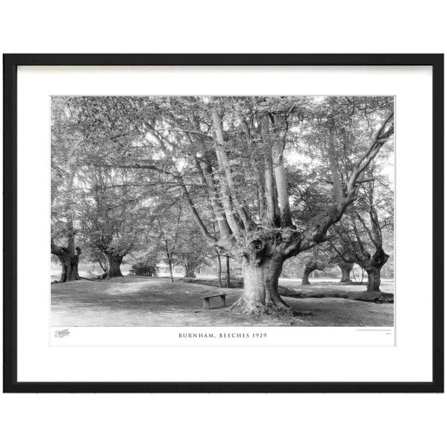 'Burnham, Beeches 1929' by Francis Frith - Picture Frame Photograph Print on Paper The Francis Frith Collection Size: 40cm H x 50cm W x 2.3cm D on Productcaster.