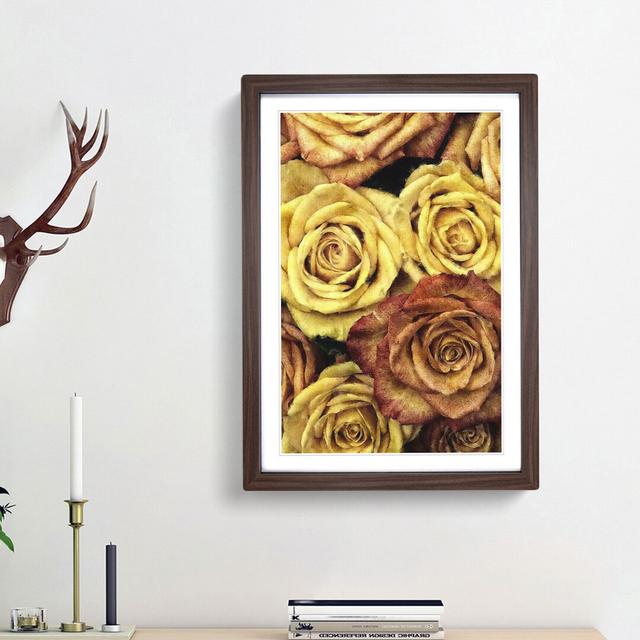 View of the Roses - Picture Frame Painting Print East Urban Home Frame Option: Walnut Framed, Size: 63cm H x 45cm W x 2cm D on Productcaster.