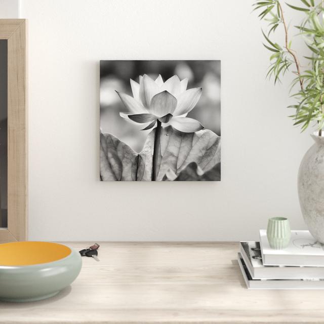 Leinwandbild Zarte rosafarbener Lotus East Urban Home Größe: 70 cm H x 70 cm B on Productcaster.