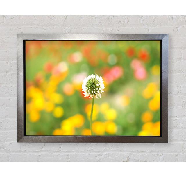 White Clover Framed Print Ebern Designs Size: 84.1cm H x 118.9cm W x 3.4cm D, Format: Silver Framed Paper on Productcaster.