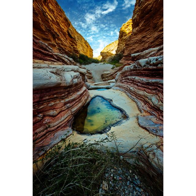 Planet Big Bend II by Va103 - Wrapped Canvas Photograph Alpen Home Size: 91cm H x 61cm W on Productcaster.