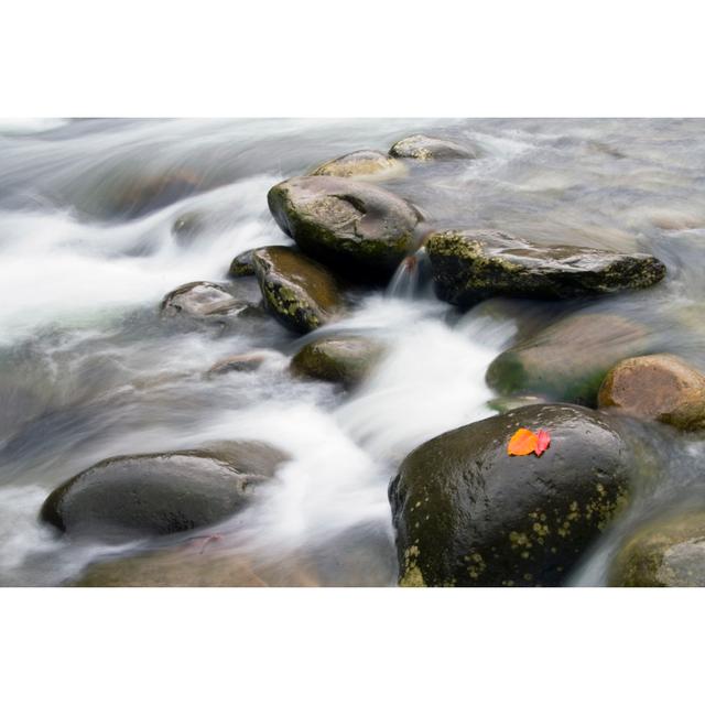 Fall Stream von Appleuzr - Drucken Alpen Home Größe: 60 cm H x 90 cm B on Productcaster.