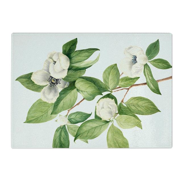 Virginia Stewartia by Mary Vaux Walcott Chopping Board East Urban Home Size: 0.4cm H x 28.5cm W x 39cm L on Productcaster.