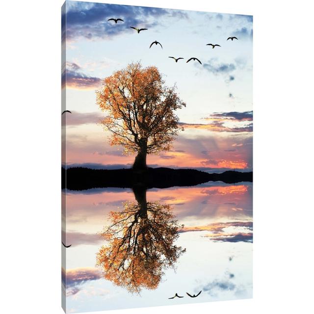 Leinwandbild Einsamer Herbstbaum spiegelt sich im stillen Gewässer Pixxprint Größe: 60 cm H x 40 cm B on Productcaster.