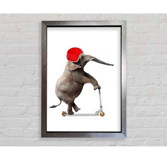 Elephant Scooter - Single Picture Frame Art Prints Bright Star Size: 59.7cm H x 42cm W x 3.4cm D on Productcaster.