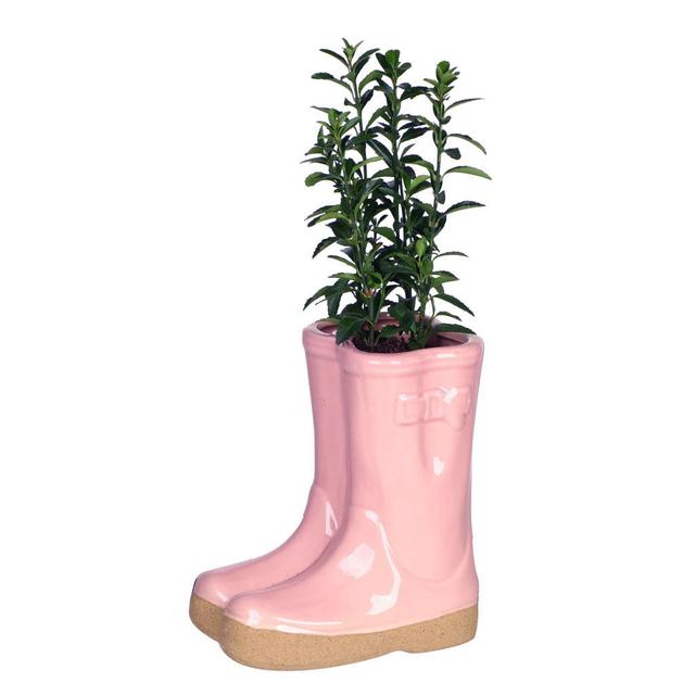 Carlson Plant Pot Brambly Cottage Size: 17cm H x 15cm W x 10cm D, Colour: Pink on Productcaster.