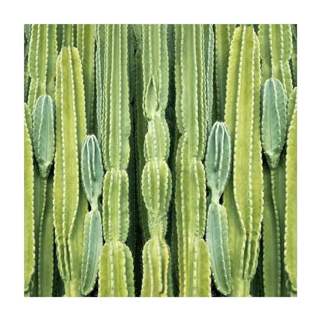 Flavel Cactus Green Indoor/Outdoor Rug East Urban Home Rug Size: Square 140cm on Productcaster.