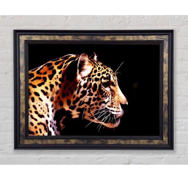 Cheetah Alert - Single Picture Frame Art Prints Bright Star Size: 59.7cm H x 84.1cm W x 8cm D on Productcaster.