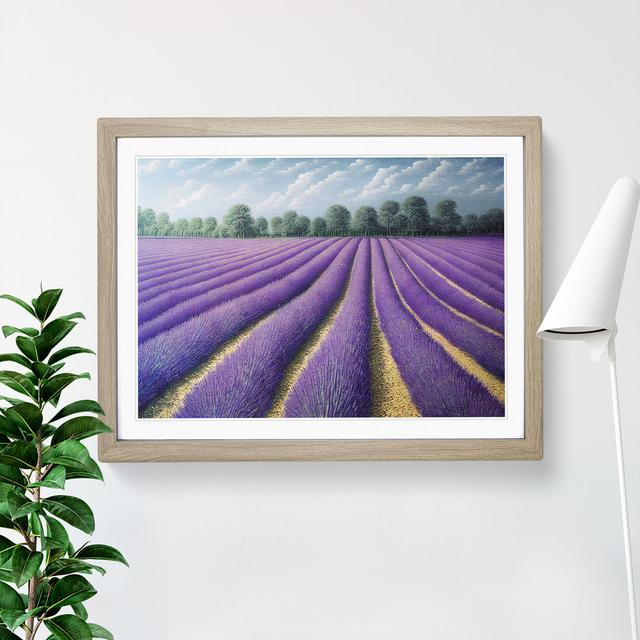 A Superb Lavender Flower Field - Picture Frame Painting Brambly Cottage Frame Option: Oak, Size: 34cm H x 46cm W x 2cm D on Productcaster.