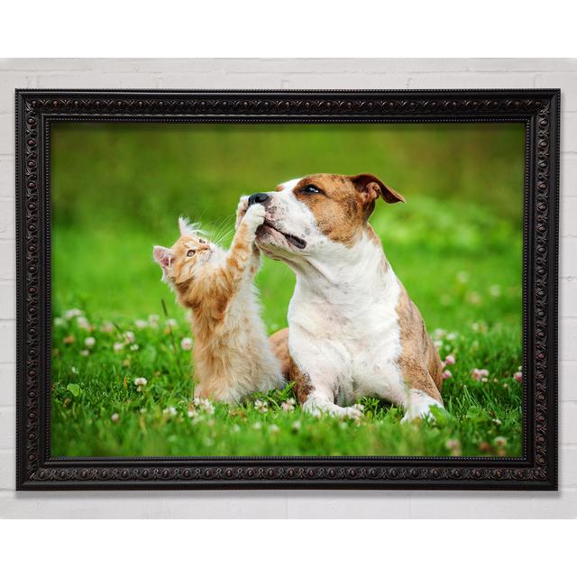 Cat No Dog Talk Framed Print Bright Star Size: 59.7cm H x 84.1cm W on Productcaster.