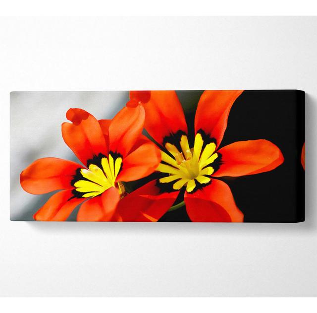 Orange Petaled Beauties - Wrapped Canvas Art Prints Ebern Designs Size: 81.3cm H x 183cm W x 10cm D on Productcaster.