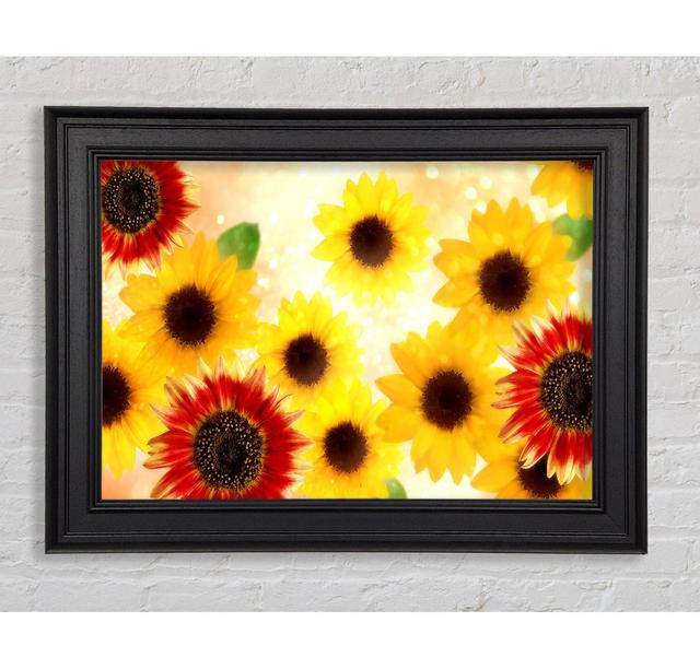 Sunflower Faces - Single Picture Frame Art Prints August Grove Size: 29.7cm H x 42cm W x 8cm D on Productcaster.