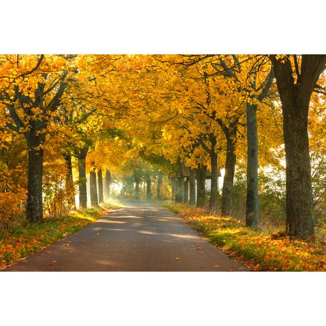 Road in Autumn - Wrapped Canvas Photograph Union Rustic Size: 61cm H x 91cm W x 3.8cm D on Productcaster.