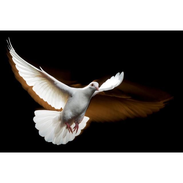 White Dove by Proxyminder - No Frame Art Prints on Canvas 17 Stories Size: 81cm H x 122cm W on Productcaster.