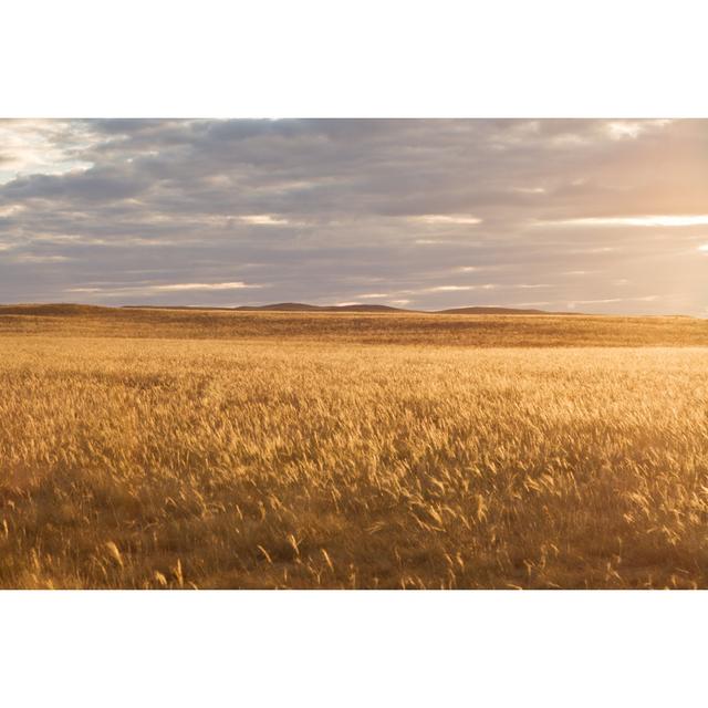 Latondra Sunset In Steppe - Wrapped Canvas Photograph 17 Stories Size: 30cm H x 46cm W x 3.8cm D on Productcaster.