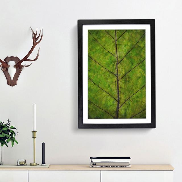 Leaf Lines - Picture Frame Graphic Art Print East Urban Home Size: 33cm H x 24cm W x 2cm D, Frame Option: Black Framed on Productcaster.