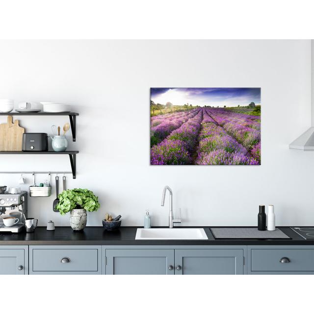 Lavender Field Provence - Unframed Photograph on Glass Fleur De Lis Living Size: 70cm H x 100cm W x 0.4cm D on Productcaster.