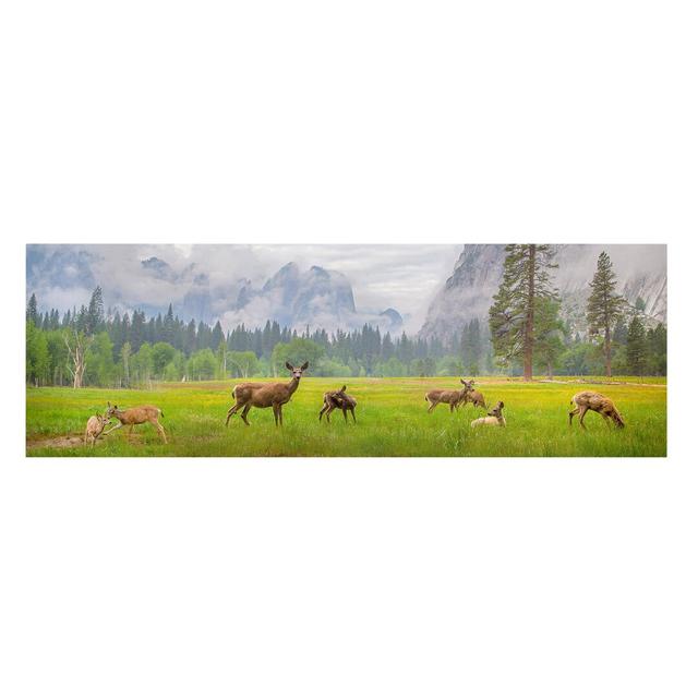 Deer in the Mountains - Wrapped Canvas Photograph Union Rustic Size: 50cm H x 150cm W on Productcaster.