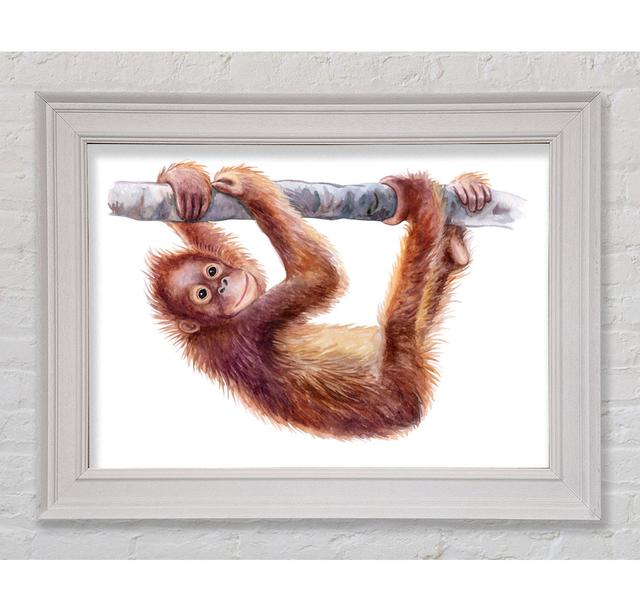 Hanging on a Branch Orangutan - Single Picture Frame Print Bloomsbury Market Size: 29.7cm H x 42cm W on Productcaster.