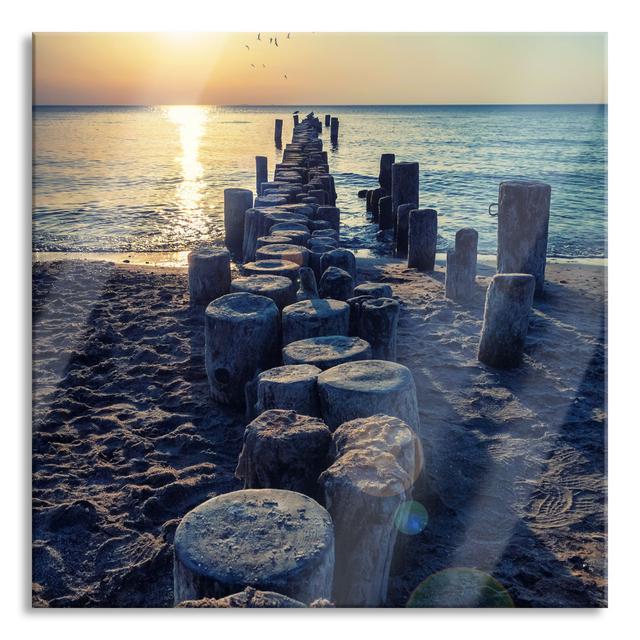 Tree Stumps in the Sea - Unframed Photograph on Glass Highland Dunes Size: 60cm H x 60cm W x 0.4cm D on Productcaster.