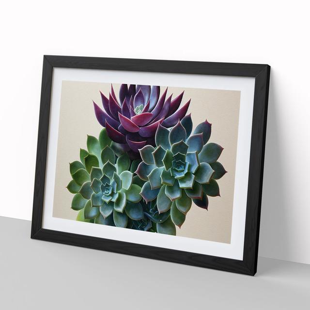 Watercolour Succulent Plant Vol.2 - Picture Frame Graphic Art World Menagerie Frame Colour: Black, Size: 34cm H x 46cm W on Productcaster.