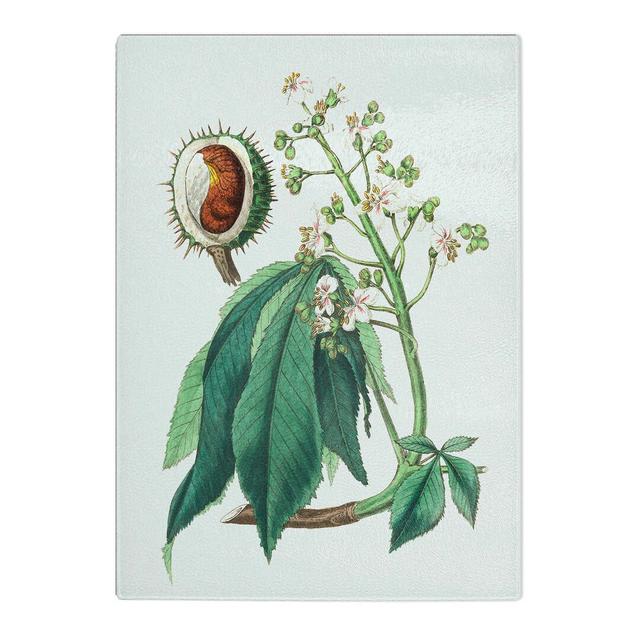 Tempered Glass European Horse Chestnut Tree Illustration Chopping Board East Urban Home Size: 28.5cm W x 20cm L on Productcaster.