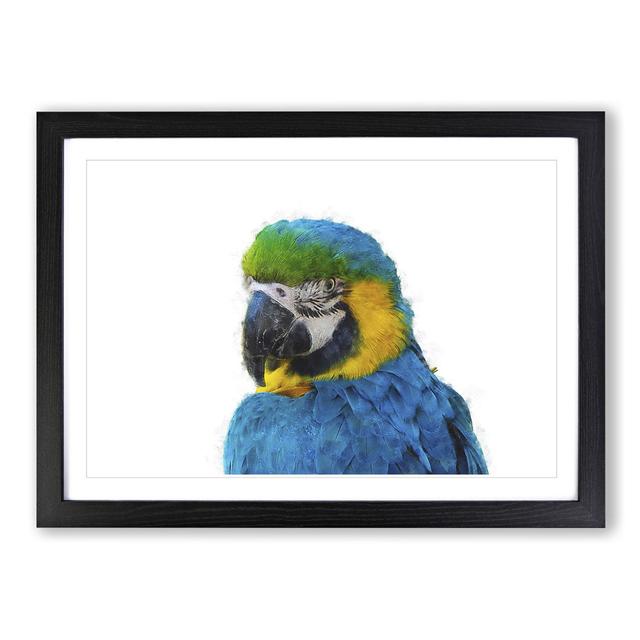 Blue & Yellow Macaw Parrot Painting East Urban Home Format: Black, Size: 45cm H x 33cm W x 2cm D on Productcaster.