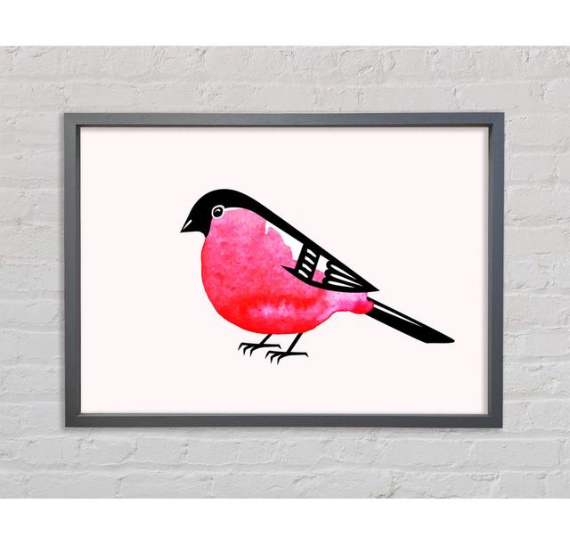 Pink Robin Breast Framed Print Bright Star Size: 59.7cm H x 84.1cm W x 3.3cm D on Productcaster.