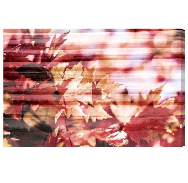 'Maple Leaf Season' Photograph on Wrapped Canvas East Urban Home Size: 76.2 cm H x 114.3 cm W on Productcaster.