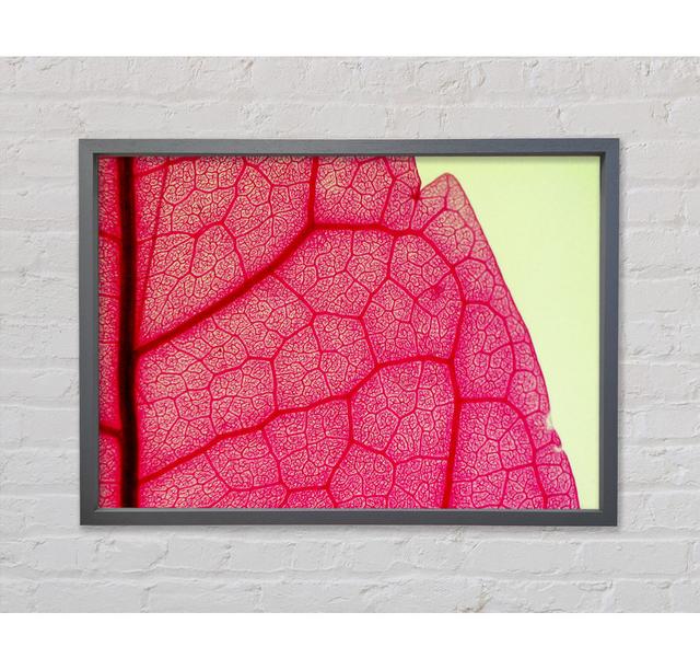 Pink Leave Beauty Framed Print Ebern Designs Size: 59.7cm H x 84.1cm W on Productcaster.