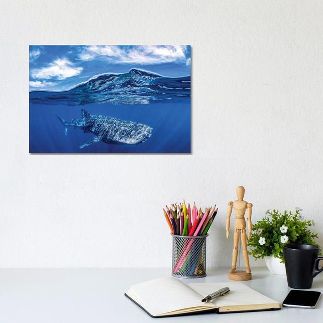 Whale Shark Over Under House of Hampton Size: 20.32cm H x 30.48cm W x 1.91cm D on Productcaster.