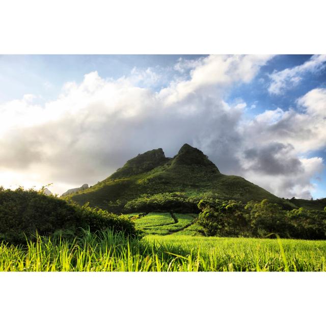 Maureen Mountain In Mauritius by Sansara - Wrapped Canvas Print Alpen Home Size: 61cm H x 91cm W x 3.8cm D on Productcaster.