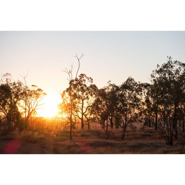 Sunrise View Causing Lens Flare at Porcupine Gorge in Queensland by Wendy Townrow - Wrapped Canvas Photograph Union Rustic Size: 51cm H x 76cm W on Productcaster.