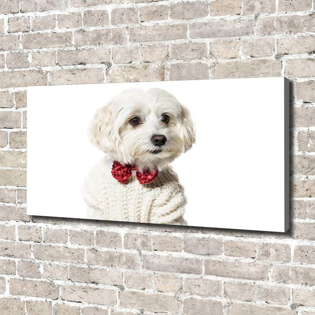 Maltese in a Bow Tie - Wrapped Canvas Art Prints Ebern Designs on Productcaster.