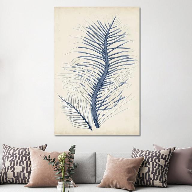 Indigo Coral V by Vision Studio - Wrapped Canvas Art Prints Highland Dunes Size: 152.4cm H x 101.6cm W x 3.81cm D on Productcaster.