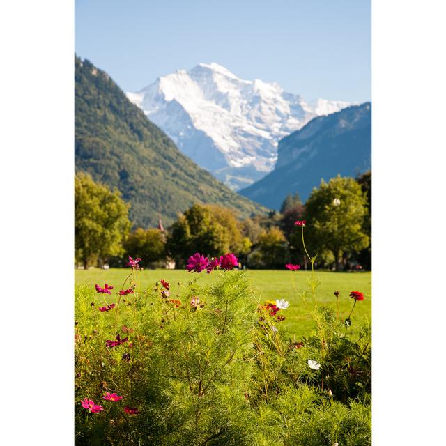 Alps Behind Cosmos by Jonghyunkim - Wrapped Canvas Photograph Alpen Home Size: 76cm H x 51cm W on Productcaster.