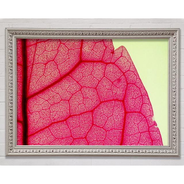 Pink Leave Beauty Gerahmter Druck Ebern Designs Größe: 100 cm H x 141,4 cm B on Productcaster.