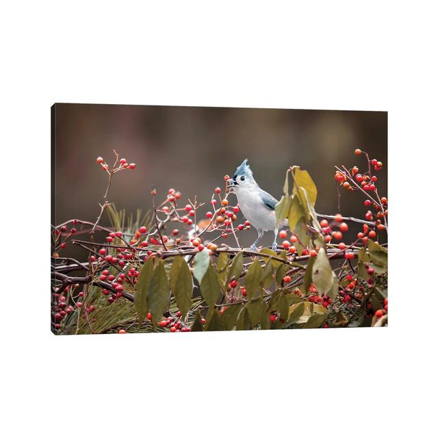 Tit Mouse Singing by Karen Burke - Wrapped Canvas Print Latitude Run Size: 30.48cm H x 45.72cm W x 1.91cm D on Productcaster.