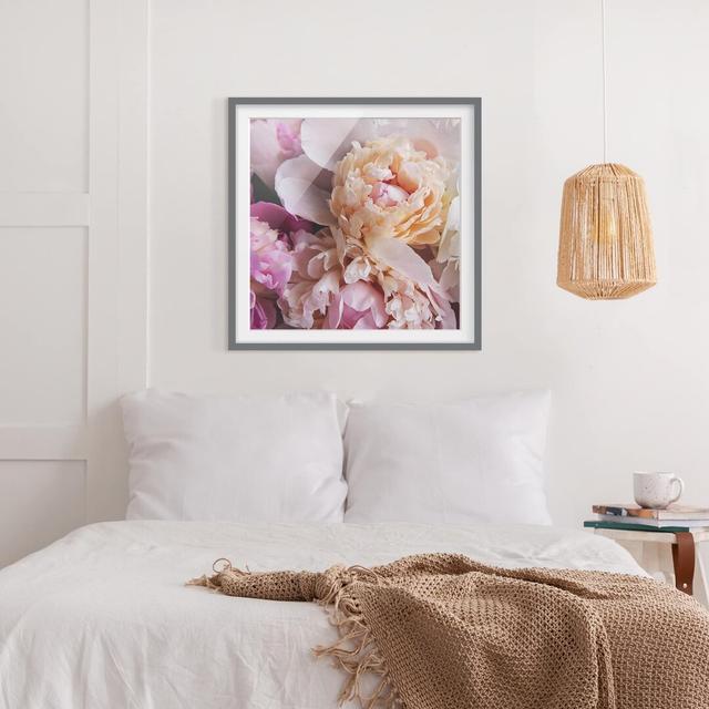 Gerahmtes Poster Flowering Peonies Rosdorf Park Rahmenauswahl: Grau gerahmt on Productcaster.