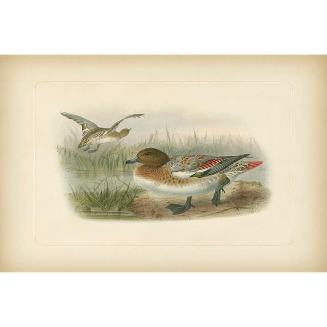 Wigeon (EA) by Keuleman - Wrapped Canvas Painting Brambly Cottage Size: 30cm H x 46cm W on Productcaster.