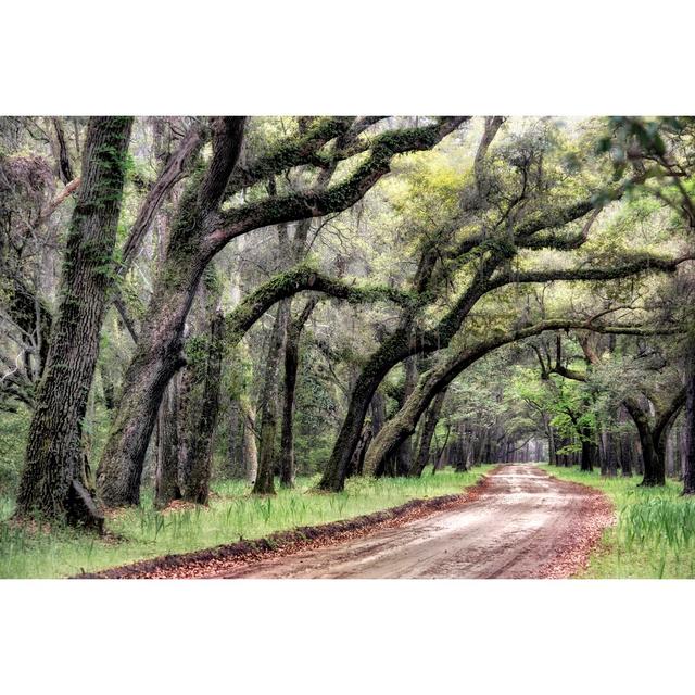 Dirt Road II - Wrapped Canvas Photograph Alpen Home Size: 81cm H x 122cm W on Productcaster.