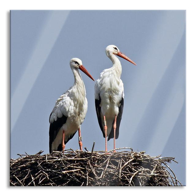 Two Proud Storks in the Nest - Unframed Photograph on Glass Ebern Designs Size: 60cm H x 60cm W x 0.4cm D on Productcaster.