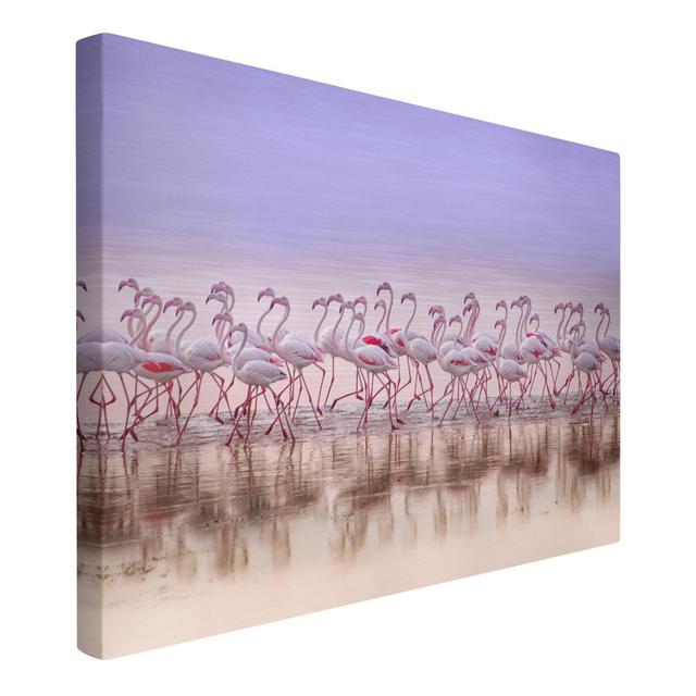 Flamingo Party - Wrapped Canvas Art Prints Bay Isle Home Size: 60cm H x 90cm W, Format: 260g/m² canvas on Productcaster.