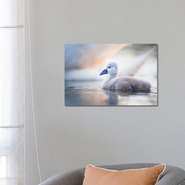 Cygnet II by Mateusz Piesiak - Wrapped Canvas Gallery-Wrapped Canvas Giclée Brambly Cottage Size: 45.72cm H x 66.04cm W x 3.81cm D on Productcaster.