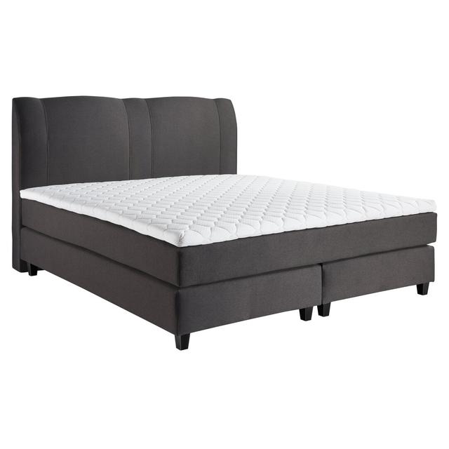 Echtes Boxspringbett Houle mit Kaltschaum Topper ModernMoments Liegefläche: 200 x 200 cm, Farbe: Grau, Härtegrad der Matratze: H4 - ab ca. 100 kg on Productcaster.