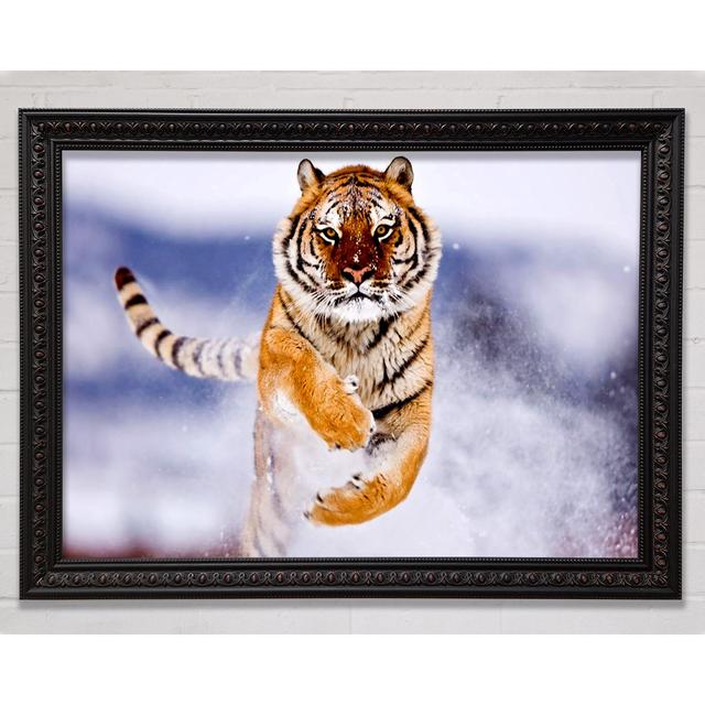 Running Snow Tiger Framed Print Bright Star Size: 84.1cm H x 118.9cm W on Productcaster.