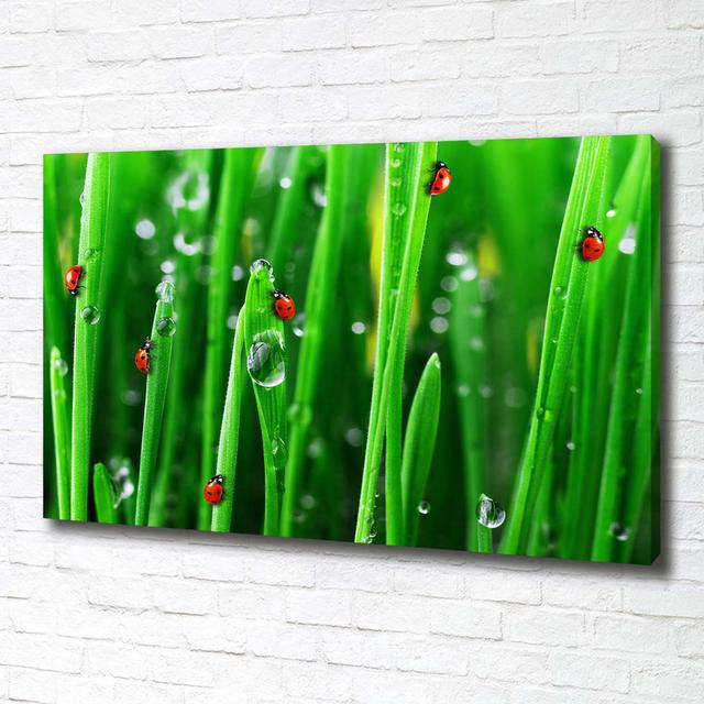 Ladybugs on the Grass - Wrapped Canvas Art Prints Brayden Studio on Productcaster.