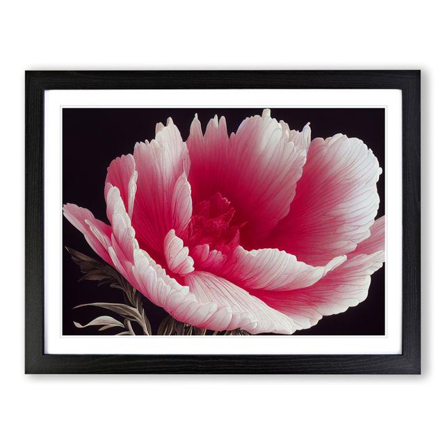 Admirable Carnation Flower - Picture Frame Graphic Art 17 Stories Size: 34cm H x 46cm W x 2cm D, Frame Colour: Black on Productcaster.