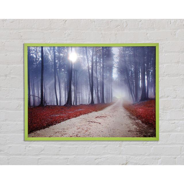 Prawdzik Sun Blaze Through The Mist - Single Picture Frame Art Prints Union Rustic Size: 21cm H x 29.7cm W x 2cm D on Productcaster.