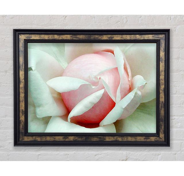 Soft Pink Rose Bud - Single Picture Frame Art Prints Bright Star Size: 59.7cm H x 84.1cm W x 8cm D on Productcaster.